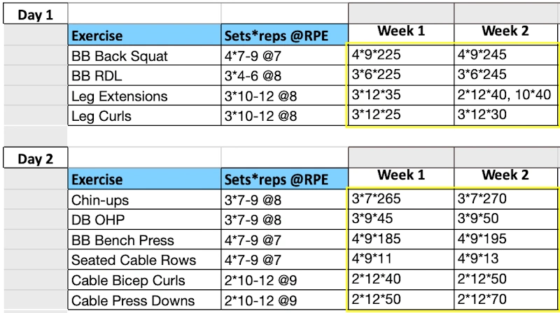 Fitness progress tracking showing body composition measurements strength data and transformation metrics for gym versus home workout comparison - fitness testing InfoProds 2026