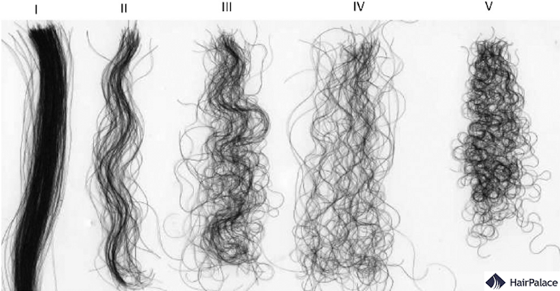 Different hair types and textures showing straight wavy curly and coily hair varieties