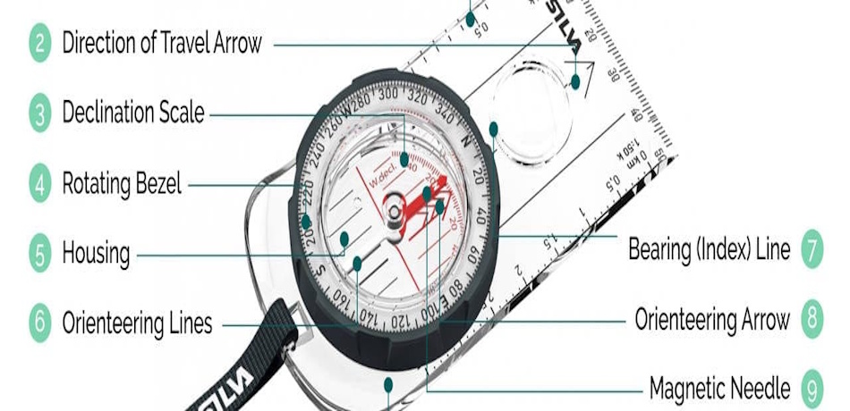 Modern Baseplate Compass Anatomy and Essential Components Detailed close-up view of a professional baseplate compass showing magnetized needle, rotating bezel with degree markings, transparent baseplate, direction-of-travel arrow, and orienting lines for accurate wilderness navigation training - InfoProds 2026