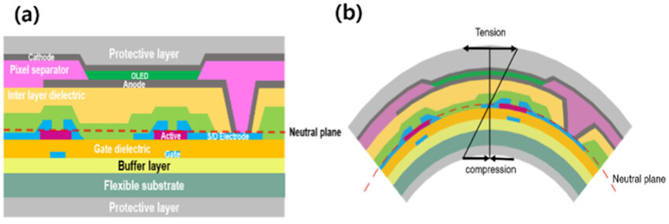 Advanced engineering diagram illustrating multi-layer substrate architecture of creaseless foldable displays showing thin-film transistor backplane, OLED emissive layers, touch sensor arrays, protective encapsulation, and specialized polymer compounds that enable stress distribution preventing permanent screen deformation - InfoProds flexible electronics technology 2026