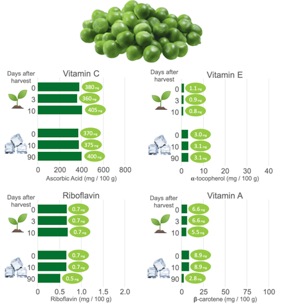 Scientific comparison chart showing vitamin C content levels across fresh frozen and canned vegetables Laboratory data visualization and scientific charts displaying nutritional comparison between fresh frozen and canned vegetables showing vitamin retention minerals and nutrient density analysis - InfoProds Kitchen Nutrition Research 2026
