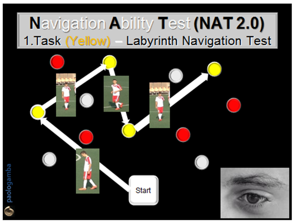 Sports Neuroscience Laboratory Conducting Vestibular Function Testing on Athletes Advanced sports science laboratory with researcher using computerized dynamic posturography and neuroimaging equipment to measure vestibular adaptation and balance system function in competitive athletes - InfoProds Research 2026