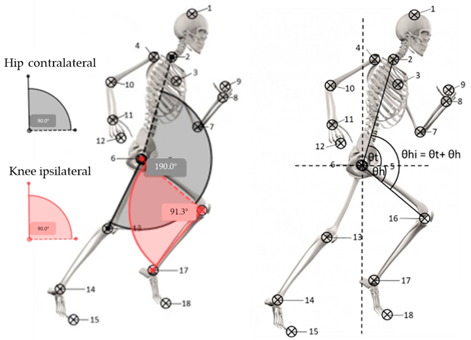 Sprint Biomechanics Head Position Analysis Athletic track sprinter showing optimal head position and torso angle during maximum velocity phase demonstrating biomechanical principles of elite sprint performance - Track and field coaching resources InfoProds 2026