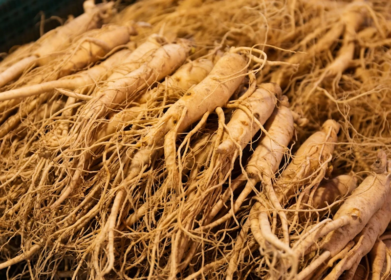Whole Panax ginseng roots placed on a clean wooden board with a natural aesthetic